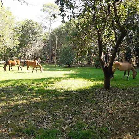 Casa De Campo Spaequino La Colorada Tomas Jofre Exterior photo