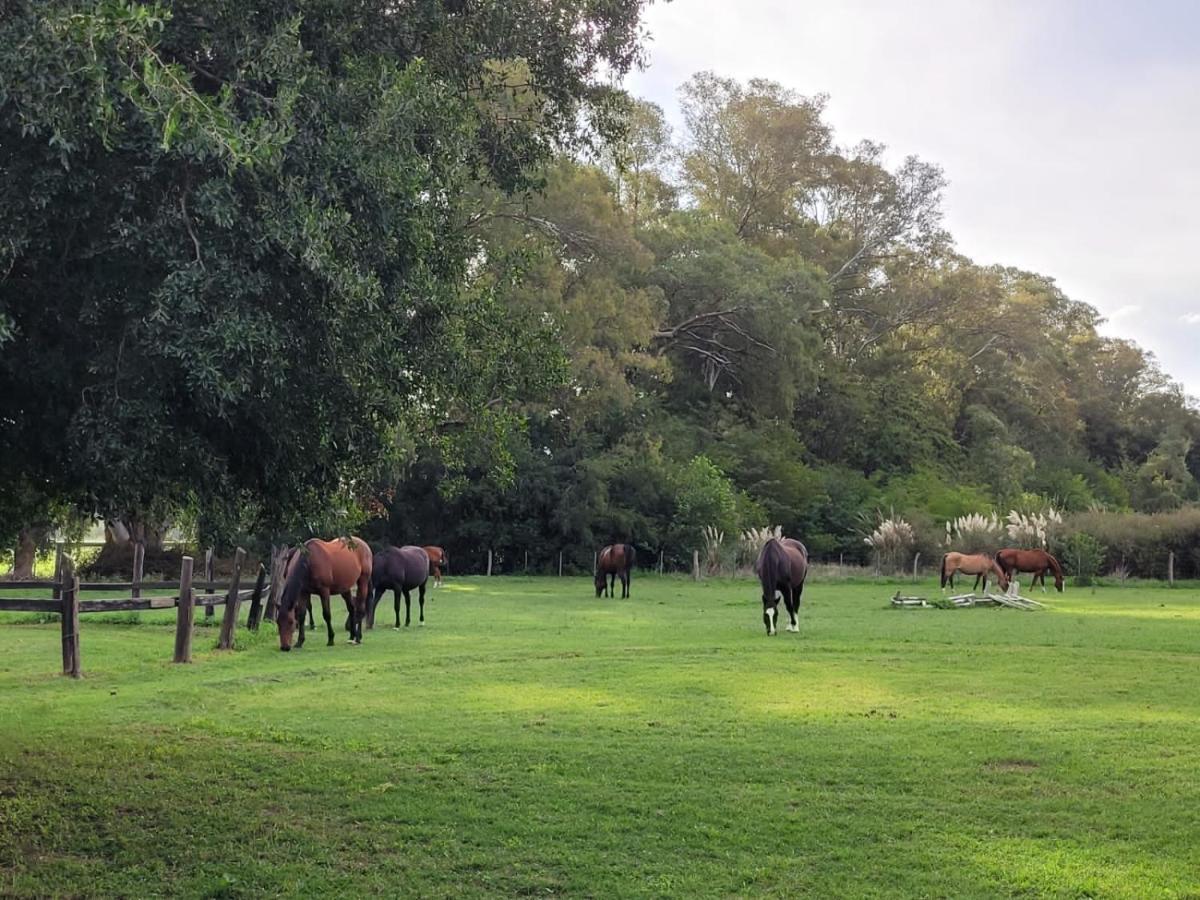 Spaequino La Colorada Holiday home *