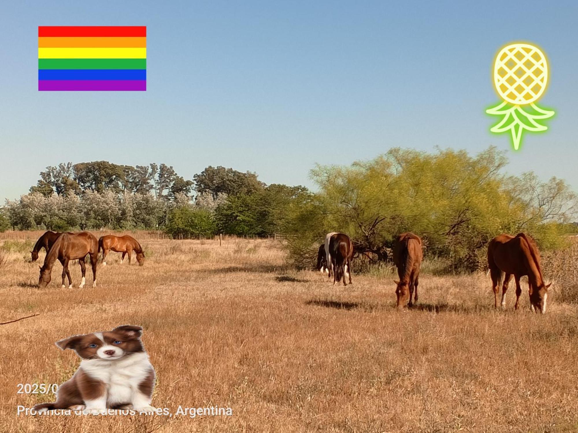 Spaequino La Colorada Holiday home Tomas Jofre